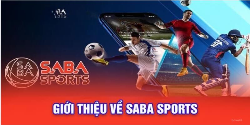 Giới thiệu sảnh cá cược nổi bật tại ABC8